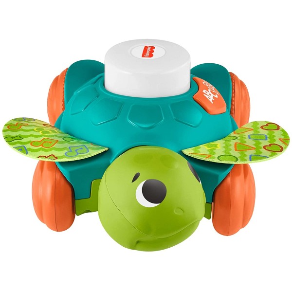 Tartaruga Fisher Price Gattona Con Me