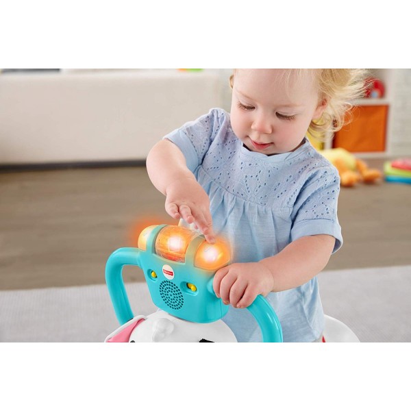 Centro Attività Fisher Price Cagnolino Saltella e Gira