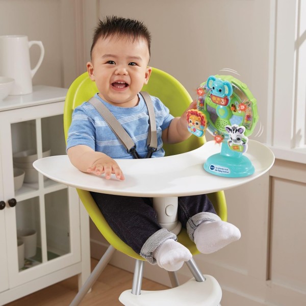 VTech Baby Ruota Panoramica 6-36 mesi