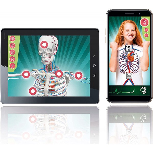 Gioco Scientifico Clementoni Anatomia Super