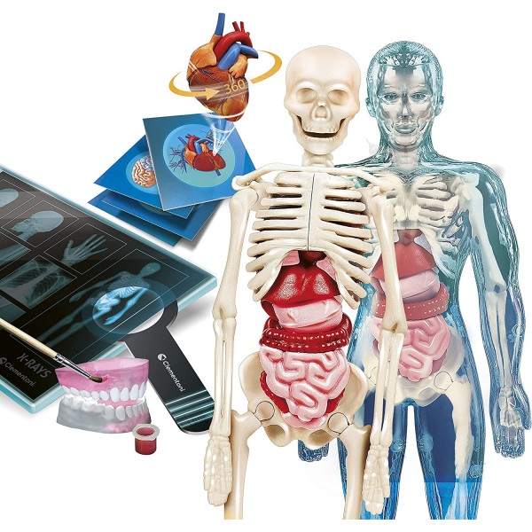 Gioco Scientifico Clementoni Anatomia Super