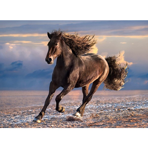 Puzzle Clementoni High Quality Collection Free Horse 1000 pz