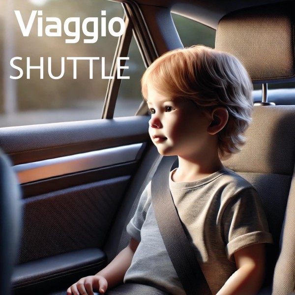 Seggiolino Auto Peg Perego Viaggio 2-3 Shuttle Isofix Crystal Black