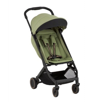 Anex Air-X² Vert Passeggino Leggero da Stiva