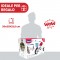Triciclo Chicco U-GO