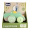 Gioco Chicco Coccodrillo Trainante ECO+