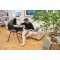 Supporto a Dondolo Chicco Stand Lullaglide Natural