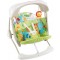 Altalena Fisher Price Baby Gear Salvaspazio 2 in 1 OUTLET