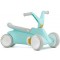 Cavalcabile a Pedali Berg Go2 2 in 1 Mint