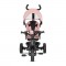 Triciclo con Rotazione 360° Lorelli Tino Rosa