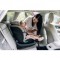 FreeON Seggiolino auto Space 360 i-SIZE 40-150 cm Grey