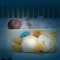 VTech Birba Dormi e Sogna con Me-Luce Notturna Bambini con Movimento
