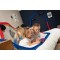 Pista Smoby Marvel Disney FleXtreme Spidey