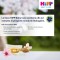 Olio Nutriente Hipp Pelli Sensibili 200 ml