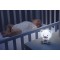 Luce Notturna Musicale Chicco First Dreams Dreamlight Rosa