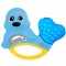 Foca Massaggiagengive Chicco