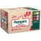 Pannolini Pampers Baby Dry Mutandino Maxi 8-15 Kg Misura 4 (80pz)
