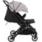 Passeggino Gemellare FreeON Action Twin Grey