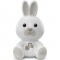 Luce Notturna Musicale Chicco First Dreams Dreamlight Bunny