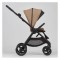 Trio Anex IQ Basic 3 in 1 Sienna con Ovetto Cosmo