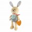 Peluche Chicco My Sweet DouDou Coniglietto Coccolone