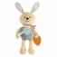 Peluche Chicco My Sweet DouDou Coniglietto Coccolone
