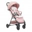 Passeggino Chicco Taormina Blush 0m+ Portata 22 Kg