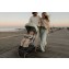 Passeggino Chicco Dolomiti Pebble Portata 22 Kg