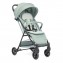 Passeggino Chicco Taormina Sage 0m+ Portata 22 Kg