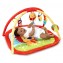 Palestrina Bright Starts Activity Gym