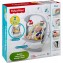 Altalena Fisher Price Baby Gear Salvaspazio 2 in 1 OUTLET