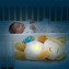 VTech Birba Dormi e Sogna con Me-Luce Notturna Bambini con Movimento
