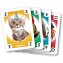 Gioco di Carte Clementoni Unico