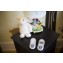 Baby Monitor Motorola MBP16 con Luce Notturna