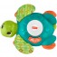 Tartaruga Fisher Price Gattona Con Me