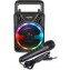 Bontempi  Mini Speaker Wireless con Microfono e Luci