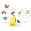 Gioco da Tavolo Educativo Clementoni Sapientino Montessori Le Parole