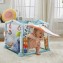 Palestrina Fisher Price Home Sweet Home Cresci con Me 3 in 1