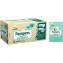 Kit Pannolini Pampers Baby Dry Junior 11-25 Kg Misura 5 - 1 Scatole da 88pz + 1 Pacco da 16pz