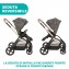 Trio Chicco Mysa Standard Glam Dew Re_Lux con Kory Essential i-Size