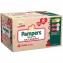 Pannolini Pampers Baby Dry Mutandino Maxi 8-15 Kg Misura 4 (80pz)